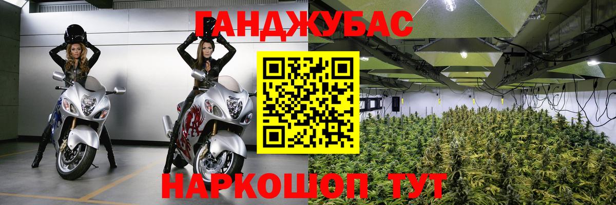Марихуана Bruce Banner  Вход с VPN  Бошки марихуана LSD WEED  МАРИХУАНА SATIVA & INDICA  МАРИХУАНА SATIVA & INDICA  Похвистнево 